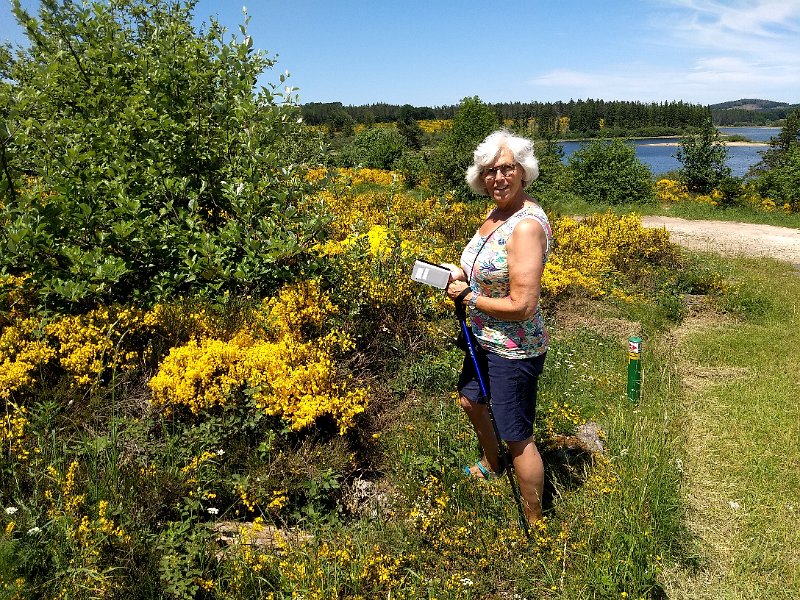 230 foto MVervoorn 2019-06-18 14.46.11.jpg